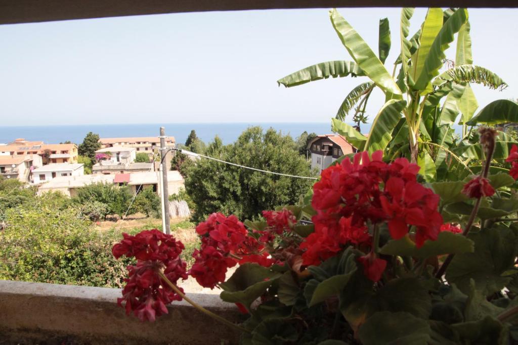 Bed And Breakfast Casagalez Santa Domenica  Ruang foto