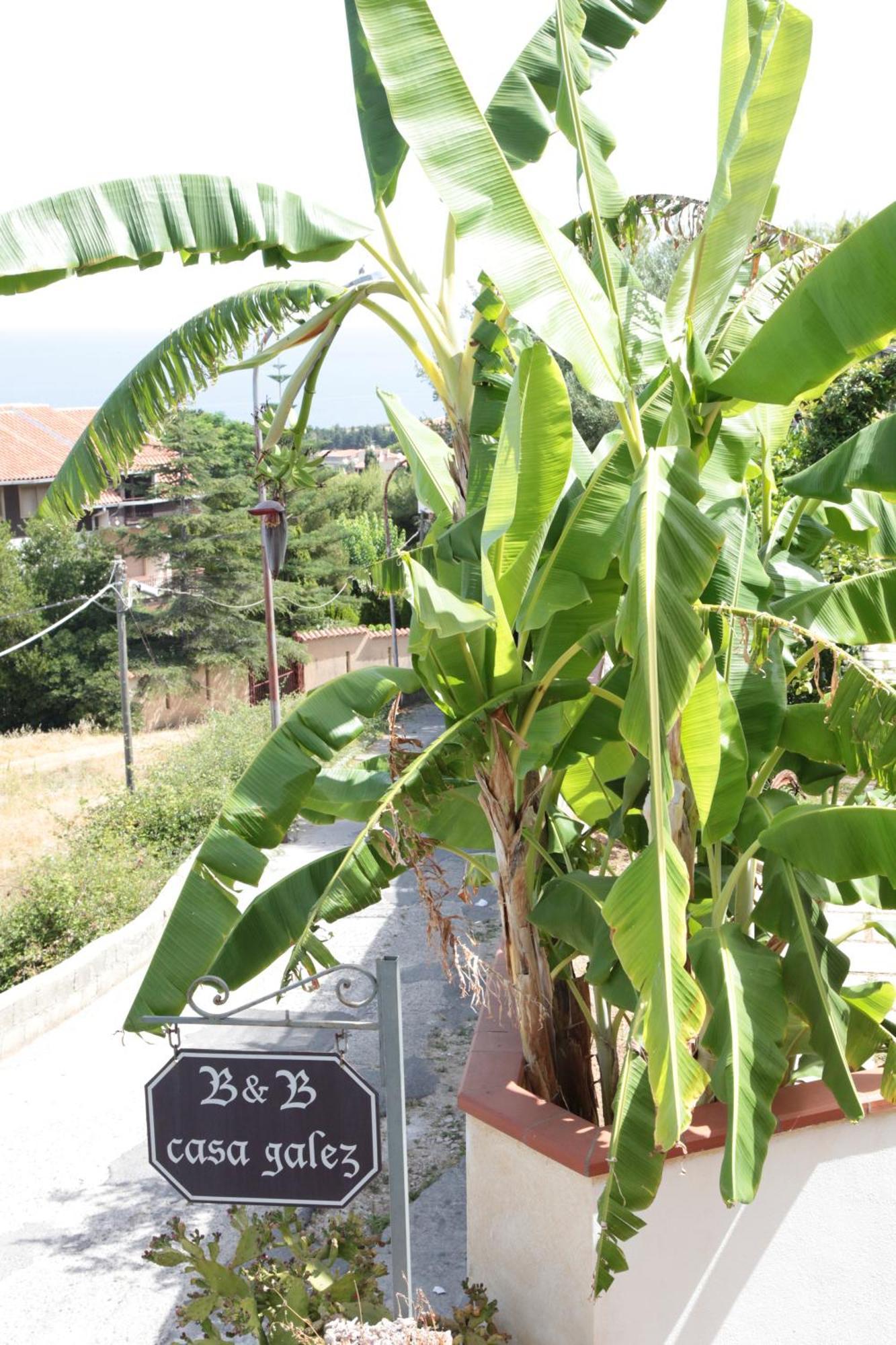 Bed And Breakfast Casagalez Santa Domenica  Bagian luar foto